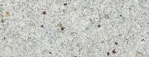 Colonial White Granite