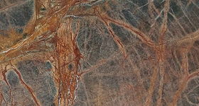 Rainforest Brown Granite