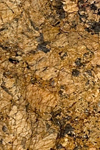 Alaska Gold
