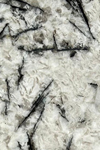 Alaska White