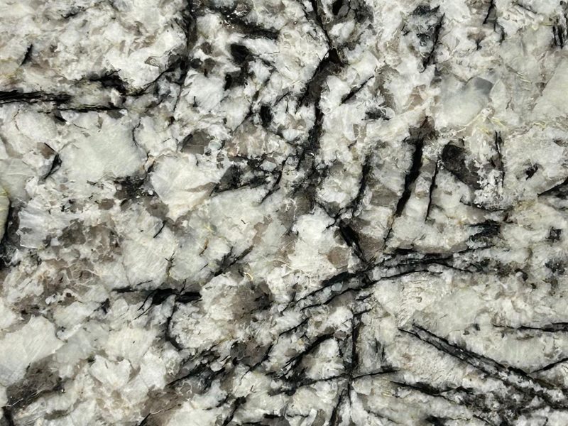 Alaska-White-Closeup