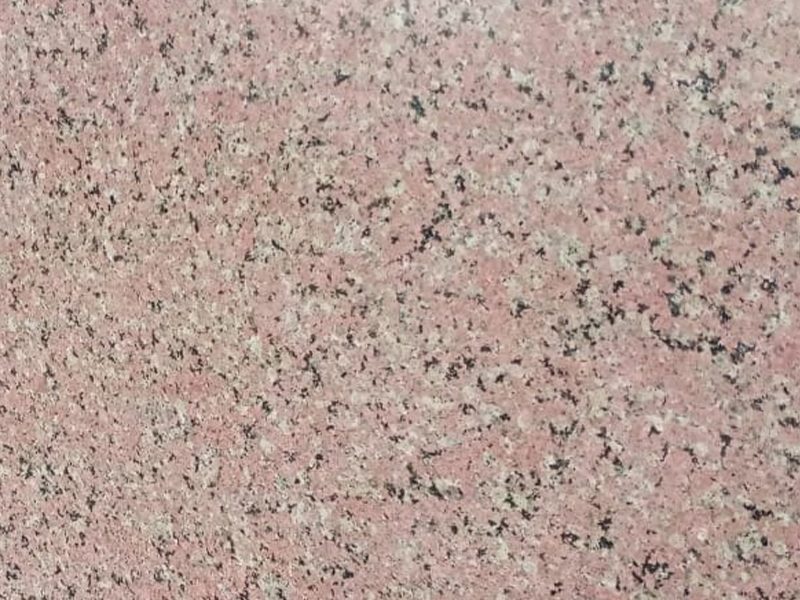 Chima-Pink-Closeup