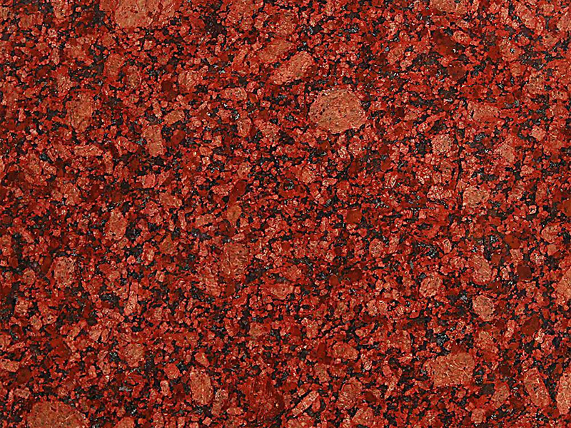 Jhansi Red - Closeup