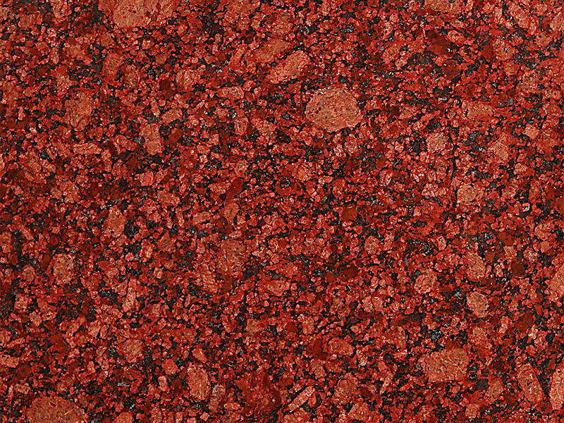 Jhansi Red - Closeup