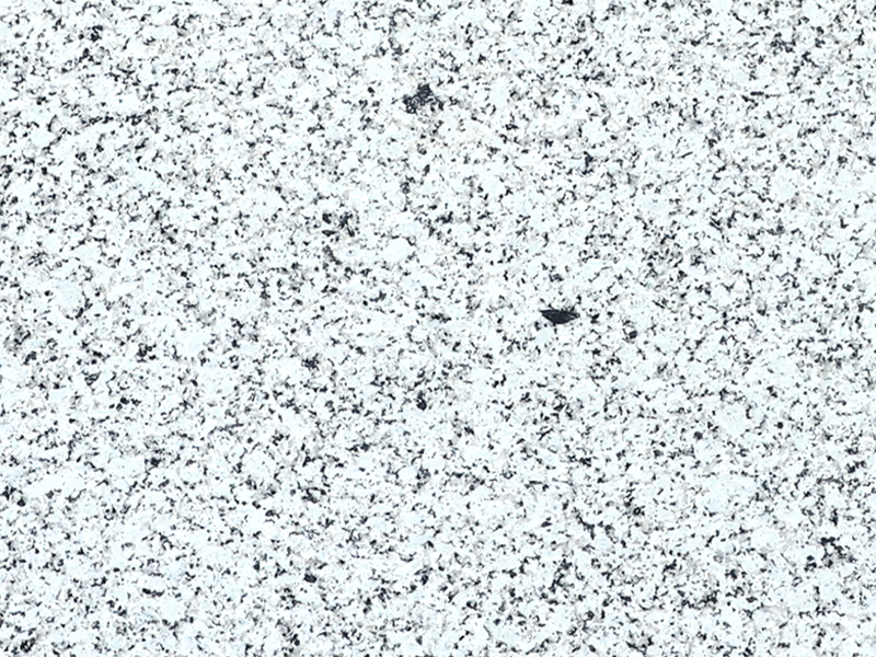 P White-closeup