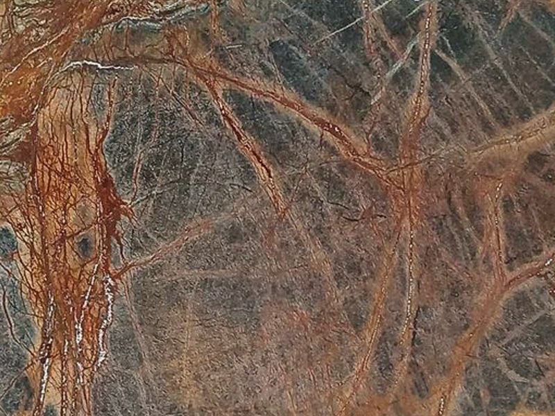 Rainforest-brown