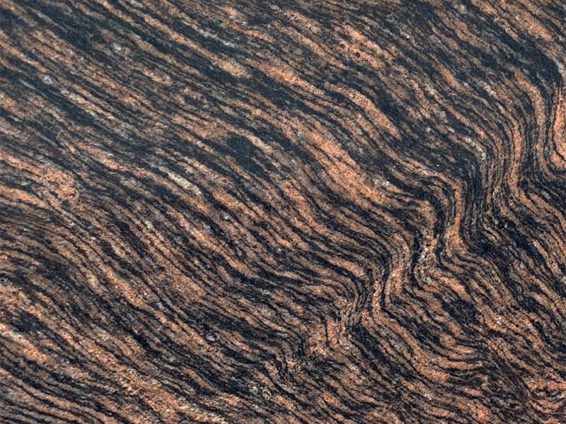 Tiger-Skin-Pink-Closeup